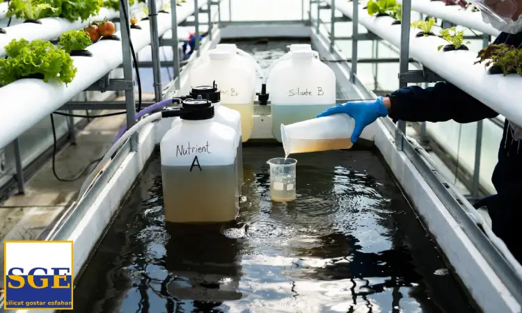 پتاسیم سیلیکات در هیدروپونیک
